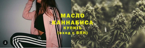 соль ск Горно-Алтайск
