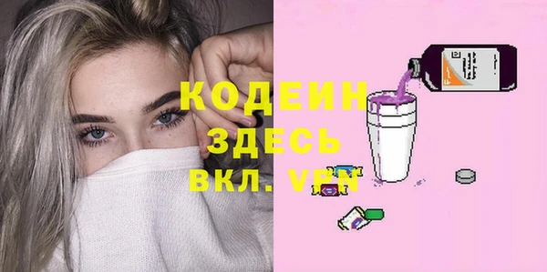 гашик Горняк