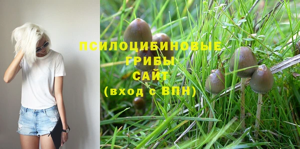 соль ск Горно-Алтайск