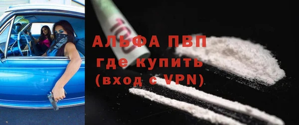гашик Горняк
