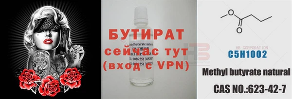 гашик Горняк