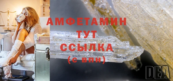 гашик Горняк