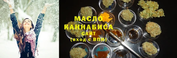 гашик Горняк