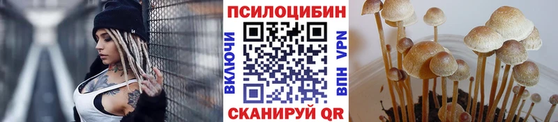 Галлюциногенные грибы Magic Shrooms Южно-Сахалинск